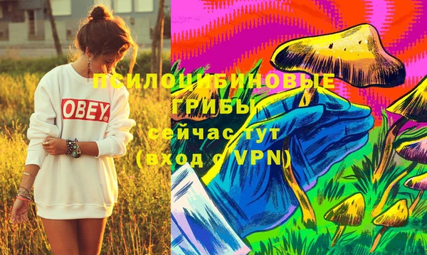 молекула духа Лабытнанги