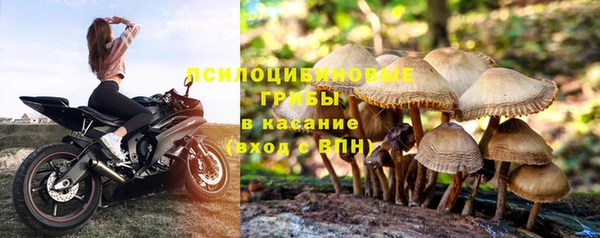 амфетамин Ладушкин