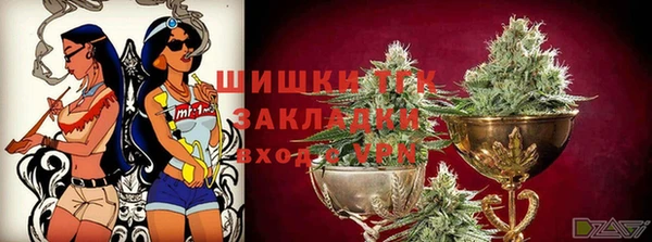 молекула духа Лабытнанги