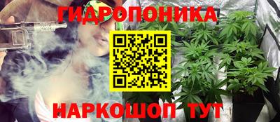 дмт Волжск