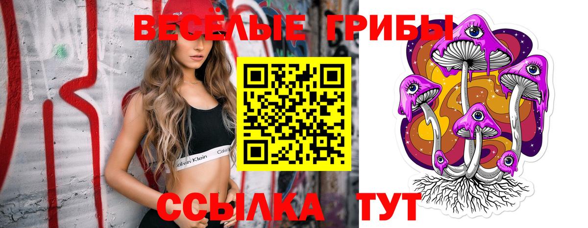 Галлюциногенные грибы Psilocybe Междуреченск