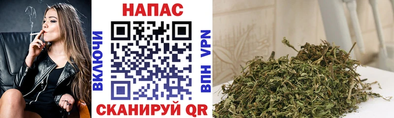 Конопля Amnesia  купить   Междуреченск 